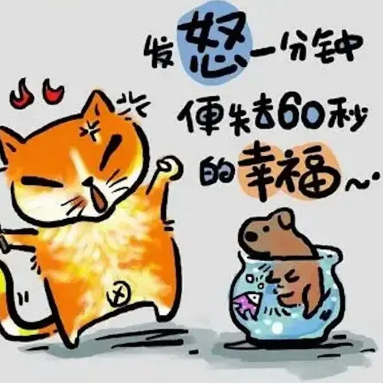 最新上线2